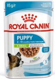 Royal Canin X-Small Puppy 24x85 g