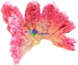 Rózsaszín korall akvárium dekoráció (210 x 200 x 130 mm)