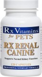 Rx Vitamins Renal Canine kapszula 120 db