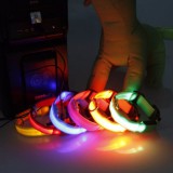 Reedog USB világító nyakörv kutyáknak és macskáknak ÚJ! - kék - 40 - 48 cm
