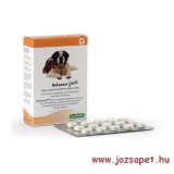 Relaxan FORTE nyugtató tabletta 30x kutya részére