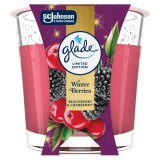 S.C. Johnson Kft. Glade illatgyertya - Winter Berries 112g