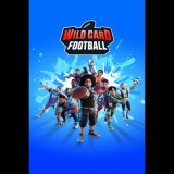 Saber Interactive Inc. Wild Card Football (PC - Steam elektronikus játék licensz)