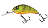 Salmo Rattlin' Hornet - 6,5cm 20g wobbler (QRH013) Hot Perch