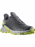Salomon Shoes Alphacross 4 GTX