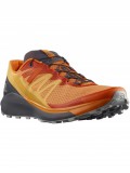 Salomon Shoes Sense RIDE 4