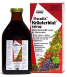 Salus Krauterblut Szirup 500 ml