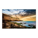 Samsung H55QETELG 55" LFD (LH55QETELGCXEN)