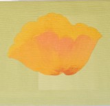 Sárga-narancs virág mintás bordűr