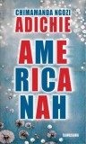 Sawasawa Chimamanda Ngozi Adichie: Americanah - könyv
