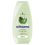 Schauma sampon 7 gyógynövény 250ml