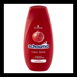 Schauma sampon color színvédő 250ml