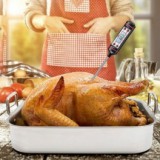 Schenopol Maghőmérő, ételhőmérő, konyhai hőmérő (digitális)