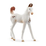 Schleich 14896 Horse Club Marwari csikó figura (14896)