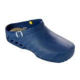 Scholl Clog Evo klumpa