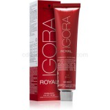 Schwarzkopf Professional IGORA Royal IGORA Royal hajfesték árnyalat 0-11  60 ml