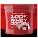 Scitec Nutrition 100% Whey Protein Professional (5 kg)