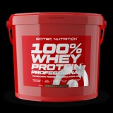 Scitec Nutrition 100% Whey Protein Professional (5 kg)