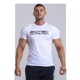 Scitec Nutrition ANTER férfi rövid ujjú póló