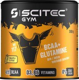 Scitec Nutrition BCAA+Glutamine (300 gr.)