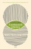 Scolar Kiadó Dr. Steven Laureys: A meditációról érthetően - könyv