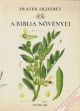 Scolar Kiadó Fráter Erzsébet: A Biblia növényei - könyv