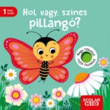Scolar Kiadó Hol vagy, színes pillangó?