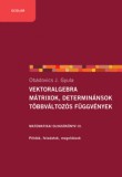 Scolar Kiadó Obádovics J. Gyula: Vektoralgebra; mátrixok, determinánsok;  többváltozós függvények - könyv