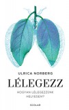 Scolar Kiadó Ulrica Norberg: Lélegezz - könyv