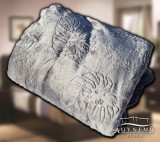 Sendia Ágytakaró pléd, nyomott mintás polár pléd, mikroszálas plüss pléd, 230x200 cm sötét Szürke pálmalevél