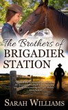 Serenade Publishing Sarah Williams: The Brothers of Brigadier Station - könyv
