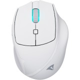 Sharkoon OfficePal M25W Wireless Gaming Egér - Fehér (4044951039654)