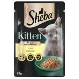 Sheba Junior nedves macskaeledel - csirke 85 g