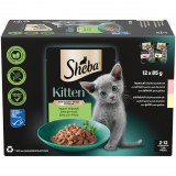 Sheba Kitten 4Pack nedves macskaeledel válogatás - lazac, csirke 12 x 85 g