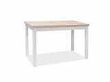 SIGNAL ADAM - Asztal (100x60 cm) - fehér/Sonoma tölgy
