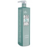 Silky DELI CARE DAILY CONDITIONER - Kondícionáló gyakori hajmosáshoz 1000 ml