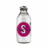 SipSap Bio nyírfavíz aloe vera 330 ml