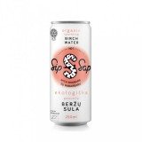SipSap Bio Nyírfavíz szénsavas rebarbara 250ml