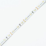 SL-2835WN60 S-LIGHTLED szalag 60LED/m 1200lm/m IP20 beltéri 12V 6000K