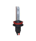 SMP HID H11 6000K 12V - Xenon izzó - 1db