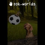 Sokpop Collective Sok-worlds (PC - Steam elektronikus játék licensz)