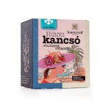 Sonnentor Bio filteres Hideg Epres Gyömbér Tea16db