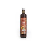 Sonnentor Bio Kola szirup 500ml