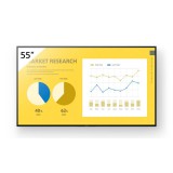 Sony 55" FW-55EZ20L IPS LED Display