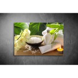 Spa Vászonkép 021 sfs-021