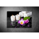 Spa Vászonkép 046 sfs-046