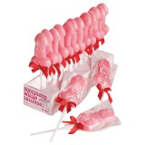 Spencer & Fleetwood Willie Lollipop - péniszes nyalóka (35g)