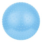 Spokey saggio fit tüskés gimnasztika labda pumpával, 65 cm sc-8470