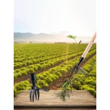 stbazar Gyomkiszedő, Gyomeltávolító