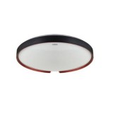 Strühm Esperanto 24 W-os távirányítós mennyezeti lámpa